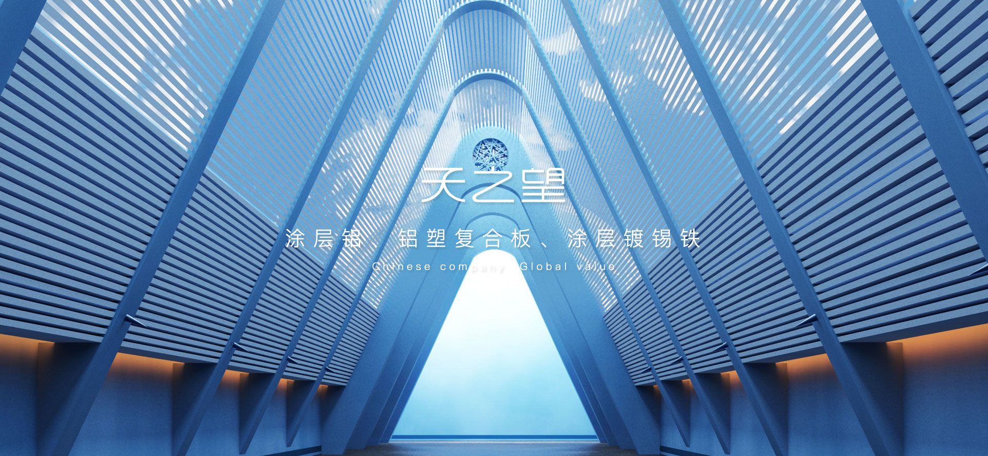 浙江天之望新材料科技有限公司